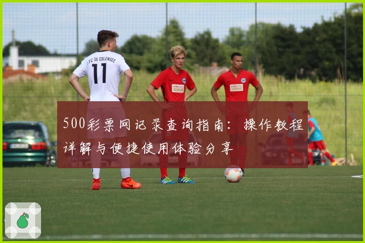 500彩票网记录查询指南：操作教程详解与便捷使用体验分享