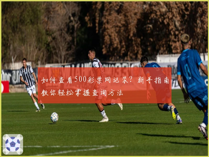 如何查看500彩票网记录？新手指南教你轻松掌握查询方法