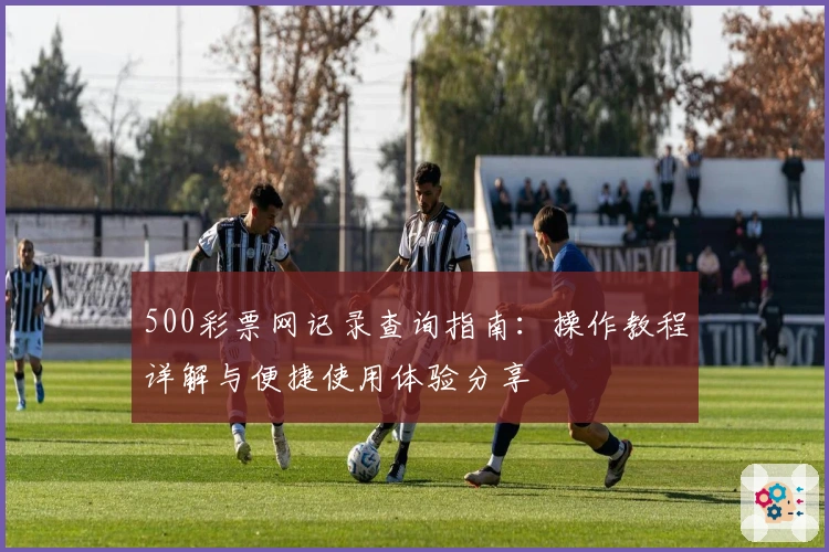 500彩票网记录查询指南:操作教程详解与便捷使用体验分享