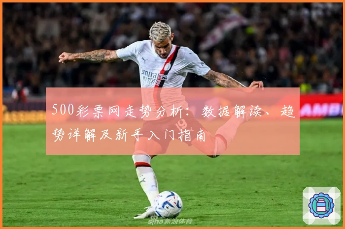 500彩票网走势分析：数据解读、趋势详解及新手入门指南