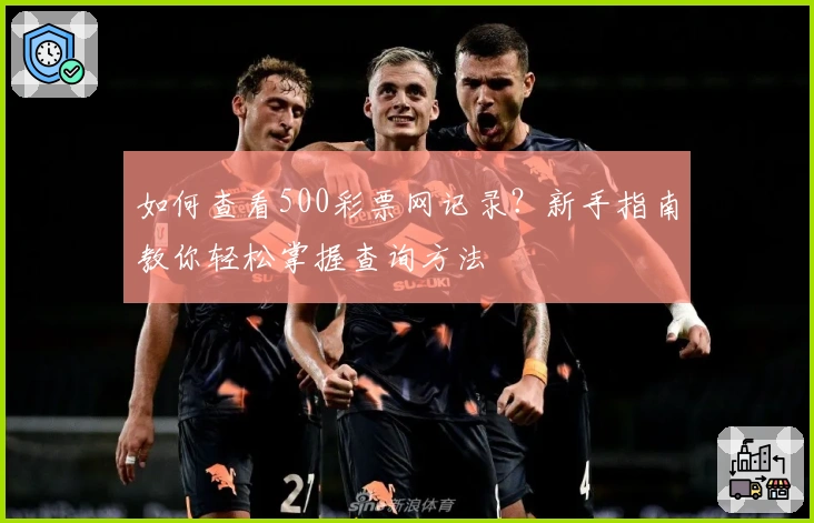 如何查看500彩票网记录？新手指南教你轻松掌握查询方法