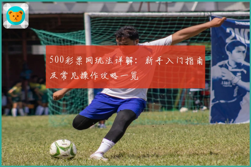 500彩票网玩法详解：新手入门指南及常见操作攻略一览